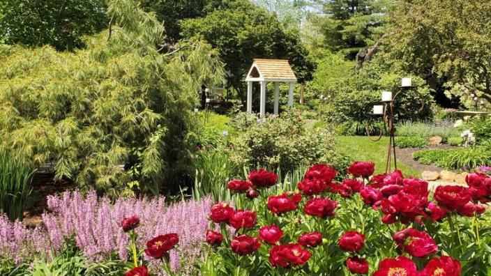 A vibrant garden scene with bright red and soft purple flowers, greenery, and a quaint structure, evoking tranquility and joy.