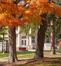 Autumn scene with vibrant orange and yellow leaves, a classic school building, lush green grass, and a winding path.