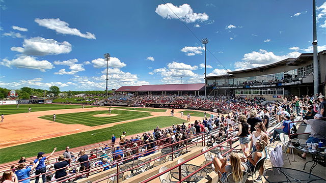 A lively baseball stadium filled with cheering fans under a bright blue sky, capturing the excitement of a game day.