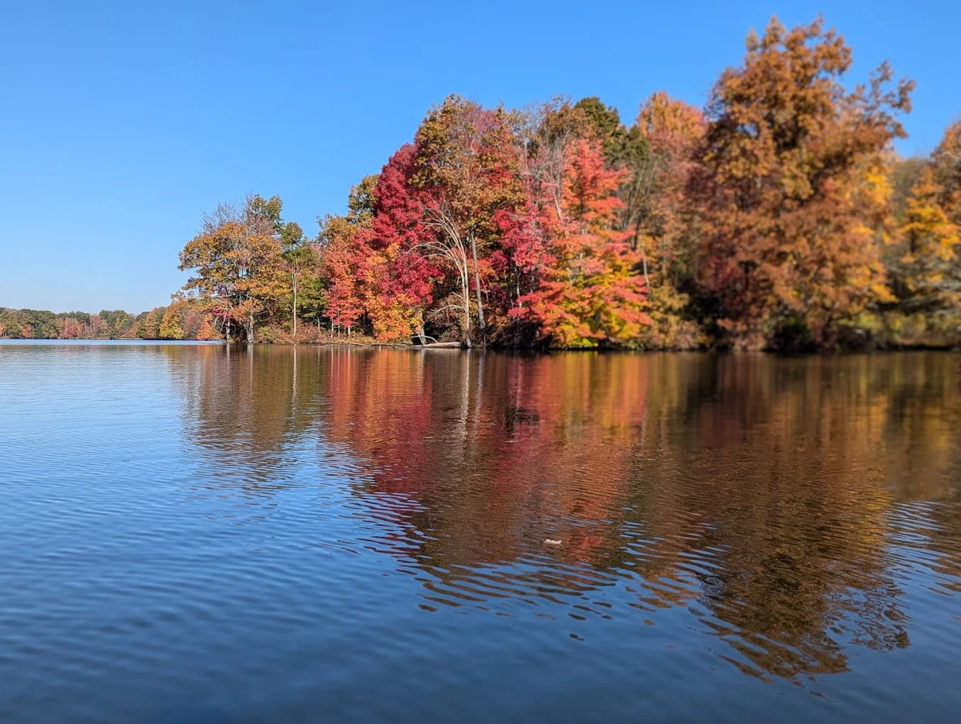 Serene autumn lake scene with vibrant foliage reflected in calm water under a clear blue sky, evoking peace and tranquility.