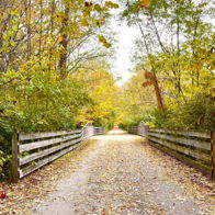 A serene autumn pathway lined with colorful trees and a wooden fence, evoking calmness and a sense of adventure.