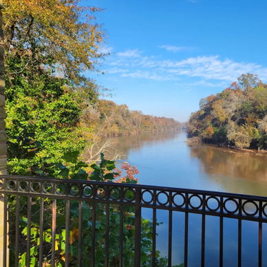 Serene river view surrounded by colorful autumn trees and a blue sky, inviting a sense of tranquility and connection to nature.