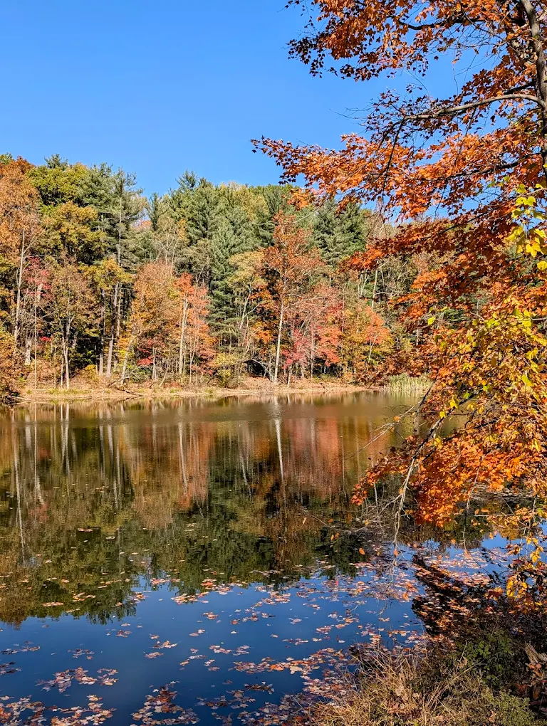 A tranquil lake surrounded by vibrant fall foliage and a clear blue sky, evoking peace and nostalgia for nature's beauty.