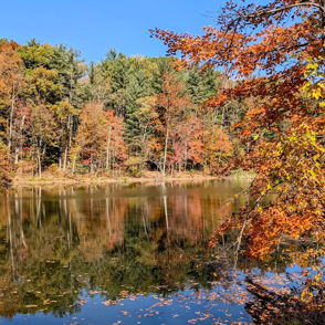A tranquil lake surrounded by vibrant fall foliage and a clear blue sky, evoking peace and nostalgia for nature's beauty.