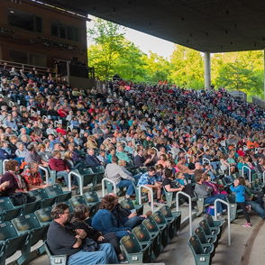 A lively outdoor concert with a diverse audience enjoying performers in an amphitheater, evoking joy and community.