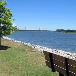 Serene riverside scene with a clear sky, grassy area, young tree, and inviting bench, evoking tranquility and calmness.