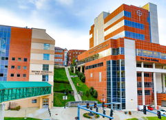 Modern hospital with brick and glass architecture, surrounded by green landscaping, conveying healing, trust, and calm.