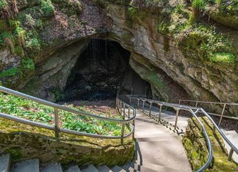 Winding staircase leads into a dark cave, surrounded by lush greenery, evoking mystery, adventure, and tranquility.
