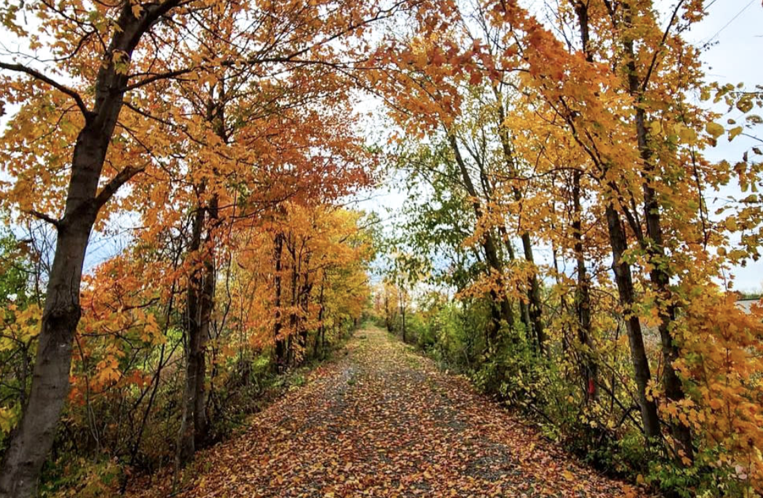 Northeast Indiana boasts over 120 miles of... - MakeMyMove