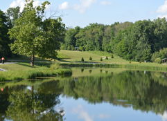 Serene lake scene with reflections, lush trees, blue skies, and people enjoying a peaceful, sunny park atmosphere.