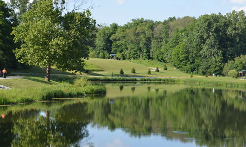 Serene lake scene with reflections, lush trees, blue skies, and people enjoying a peaceful, sunny park atmosphere.