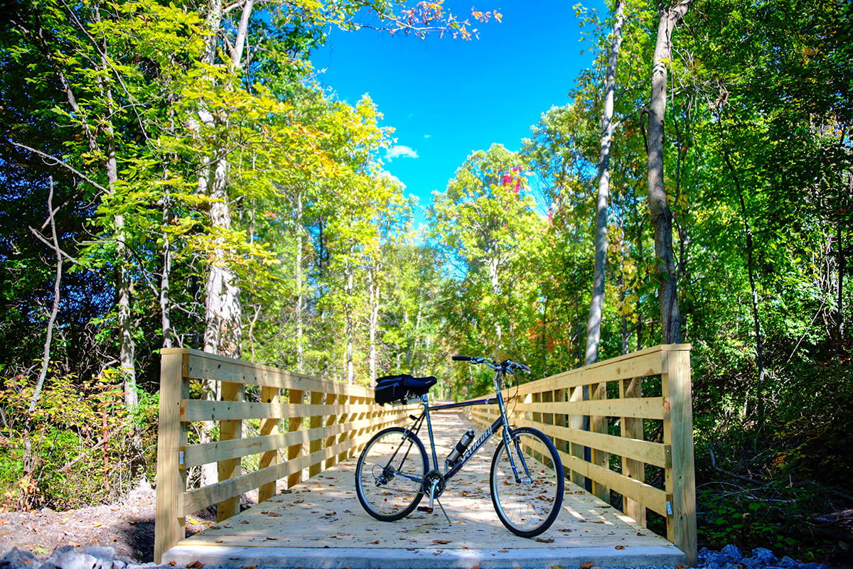 Wooden bridge in lush greenery with a parked bicycle, evoking tranquility and adventure in a serene outdoor setting.