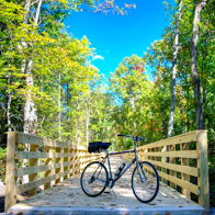 Wooden bridge in lush greenery with a parked bicycle, evoking tranquility and adventure in a serene outdoor setting.