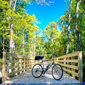 Wooden bridge in lush greenery with a parked bicycle, evoking tranquility and adventure in a serene outdoor setting.