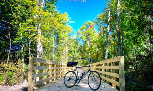 Wooden bridge in lush greenery with a parked bicycle, evoking tranquility and adventure in a serene outdoor setting.