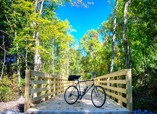 Wooden bridge in lush greenery with a parked bicycle, evoking tranquility and adventure in a serene outdoor setting.