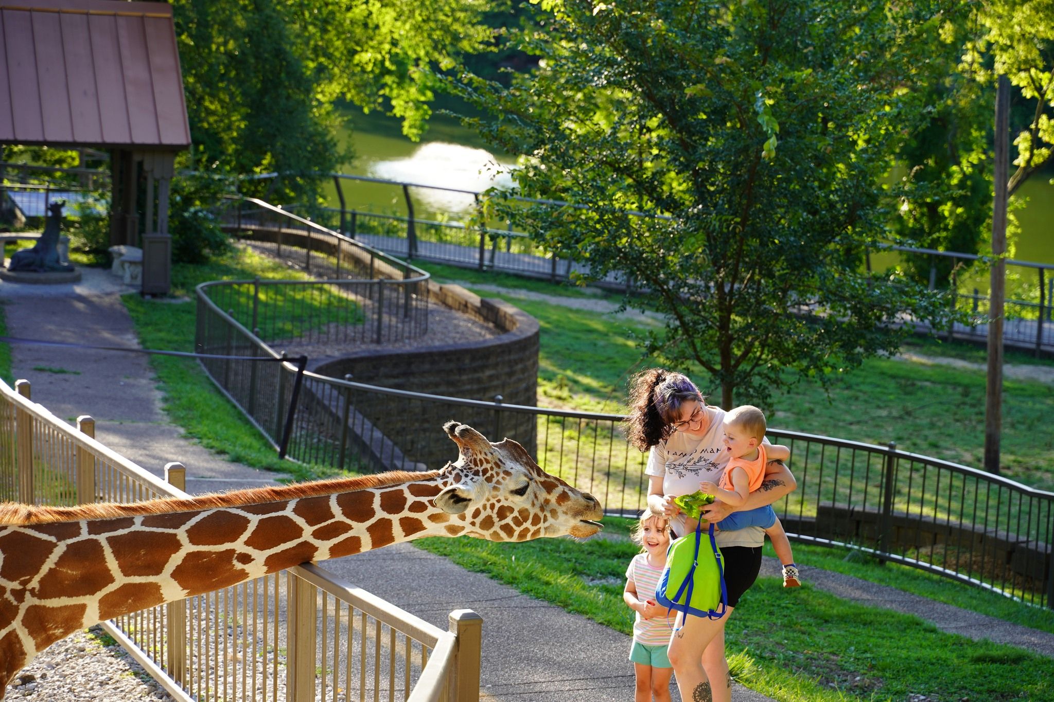 A woman and two children smile near a fence as a giraffe leans in, surrounded by greenery on a sunny zoo day.