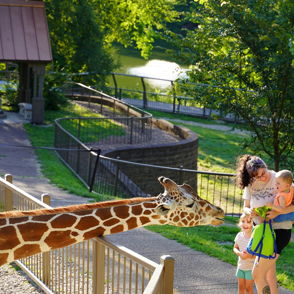 A woman and two children smile near a fence as a giraffe leans in, surrounded by greenery on a sunny zoo day.