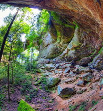 A vibrant cave with lush greenery, sunlight filtering through, evoking tranquility, wonder, and a sense of adventure.