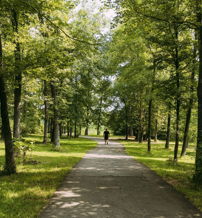 A tranquil forest pathway with tall trees, dappled sunlight, and a lone figure evokes peace and contemplation.
