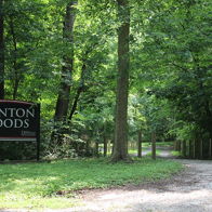Serene entrance to Blanton Woods with a gravel path, tall trees, and a calming, inviting atmosphere of nature.