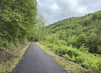 A serene pathway lined with lush trees invites tranquility and exploration in a vibrant natural landscape.
