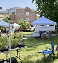 Outdoor market with white tents, vendors, plants, and shoppers; vibrant, friendly atmosphere filled with community spirit.