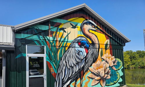 Vibrant mural of a heron among colorful flowers and greenery, evoking tranquility and appreciation for nature.