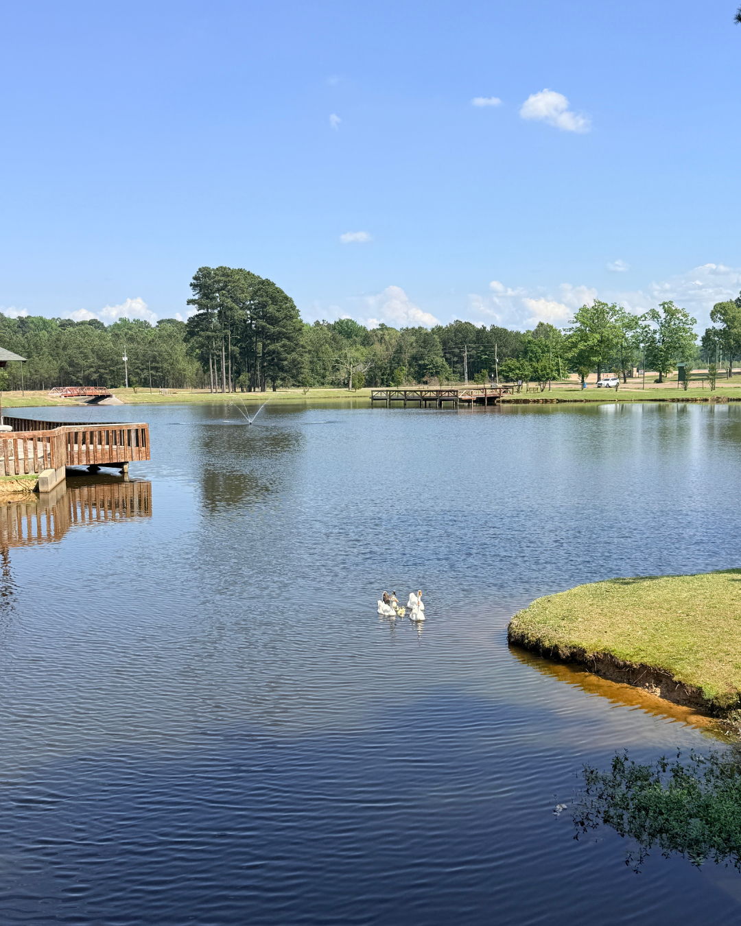 Tranquil lakeside scene with calm water, ducks, a wooden pier, and a clear blue sky, evoking peace and nostalgia.