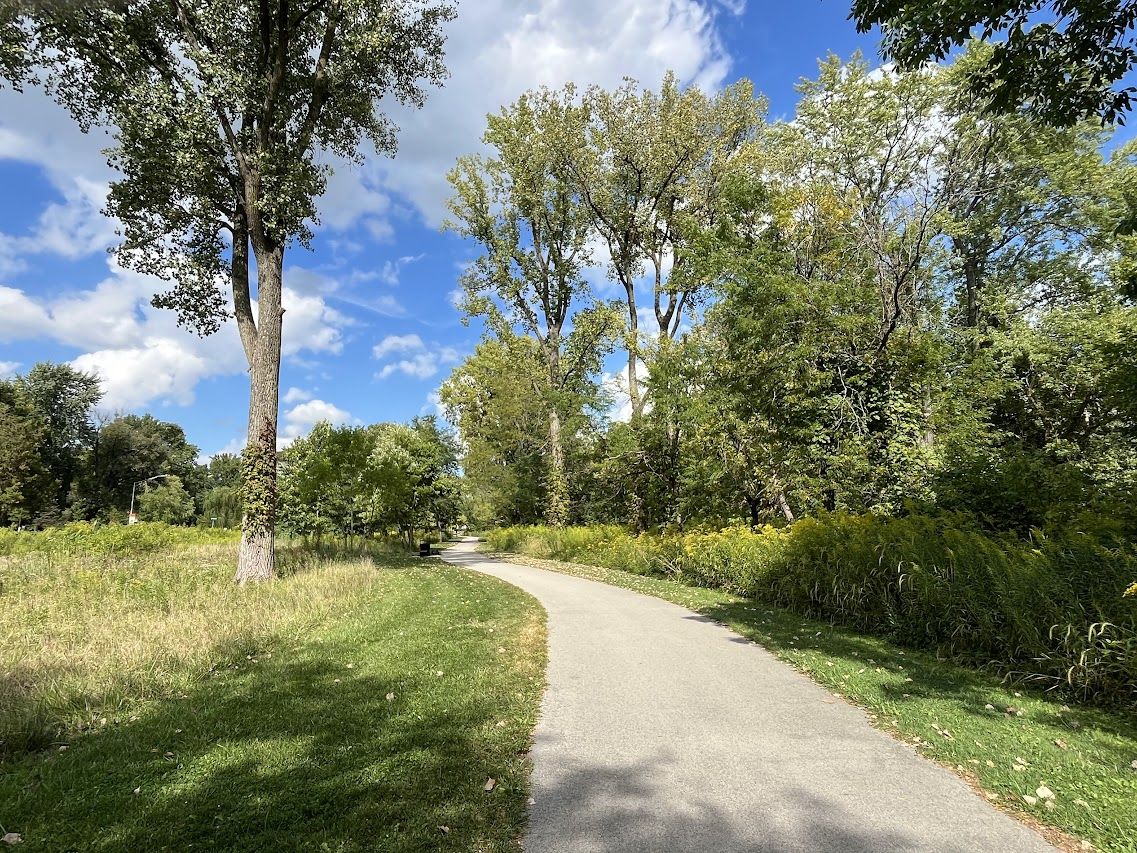 A serene winding path through lush greenery and tall trees under a bright sky, evoking peace, relaxation, and optimism.
