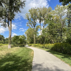 A serene winding path through lush greenery and tall trees under a bright sky, evoking peace, relaxation, and optimism.