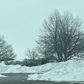 A winter scene with a bare tree, snow patches, and overcast sky, evoking solitude and tranquility.