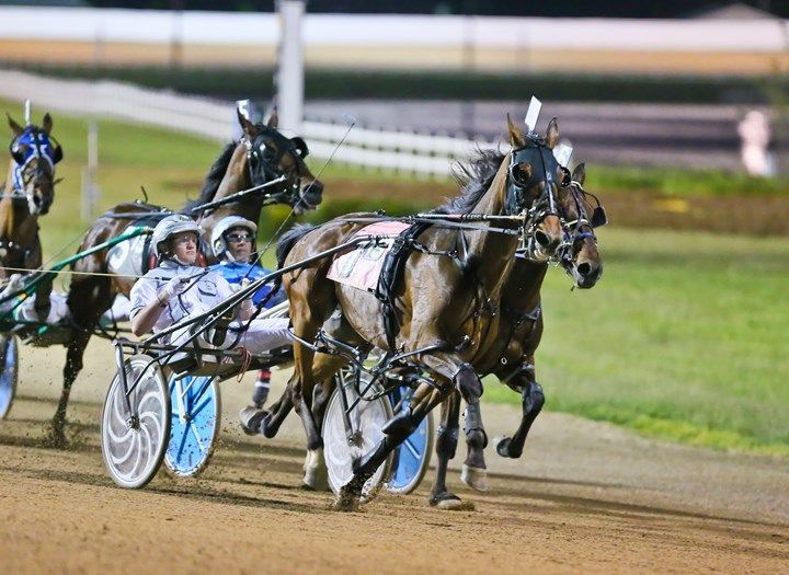 Night-time harness racing event with horses in full stride, riders focused, illuminated track, capturing excitement and intensity.