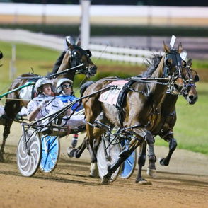 Night-time harness racing event with horses in full stride, riders focused, illuminated track, capturing excitement and intensity.