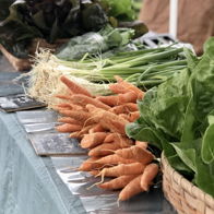 Vibrant farmer's market display with fresh vegetables, including orange carrots and greens, evoking health and community.