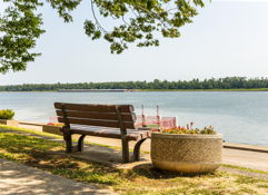 Tranquil riverside scene with a wooden bench, colorful flower pot, and serene water, inviting peaceful reflection in nature.