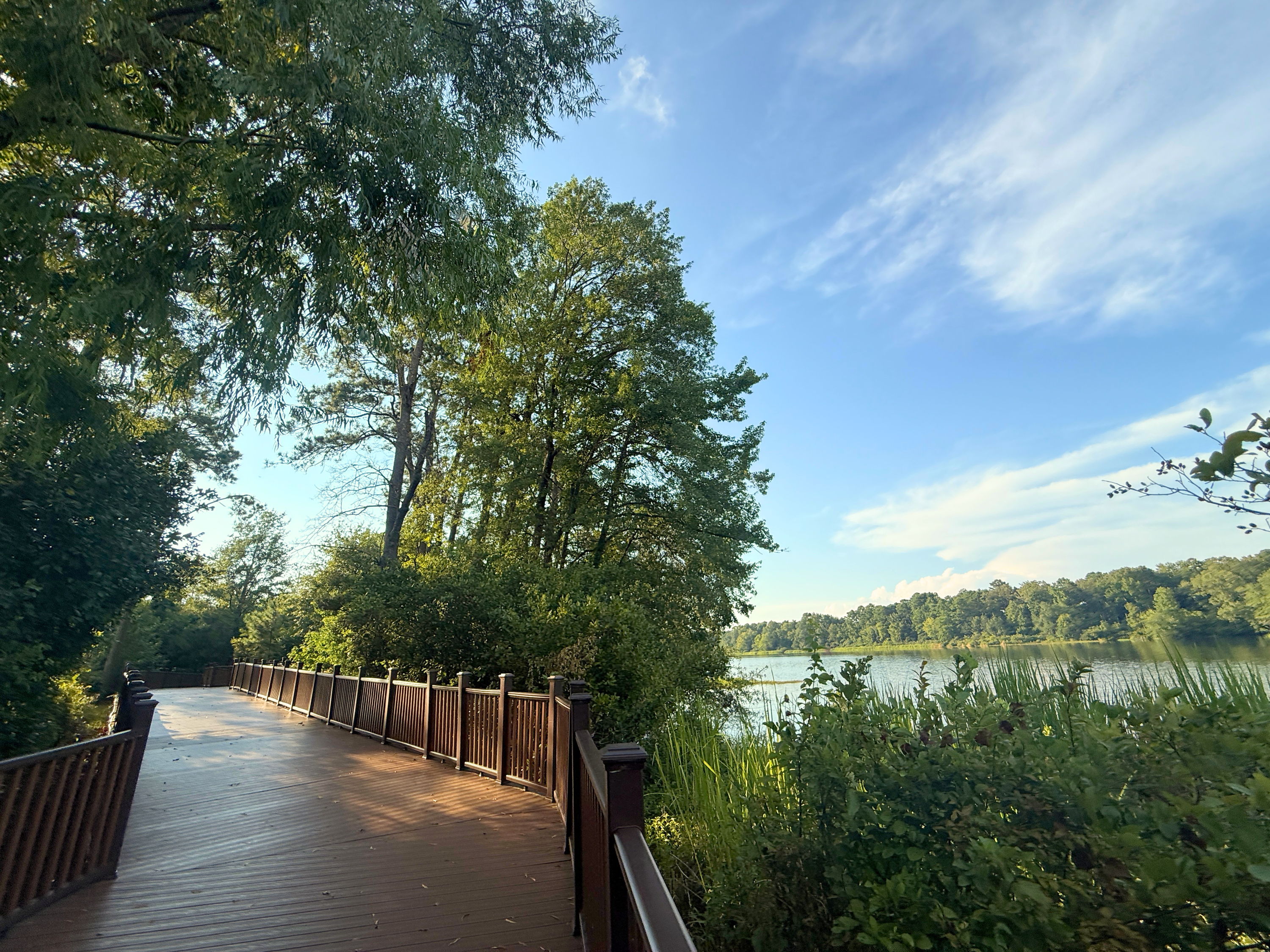 Wooden pathway through lush greenery leads to tranquil water, evoking peace and inviting exploration on a calm day.