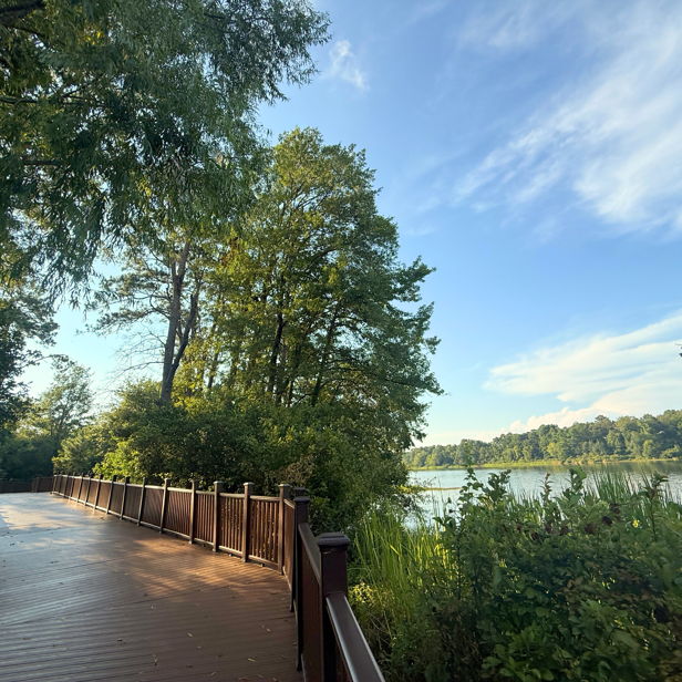 Wooden pathway through lush greenery leads to tranquil water, evoking peace and inviting exploration on a calm day.