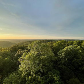 A scenic rocky cliffside with lush greenery and autumn colors, facing calm water under a partly cloudy sky, evokes serenity.