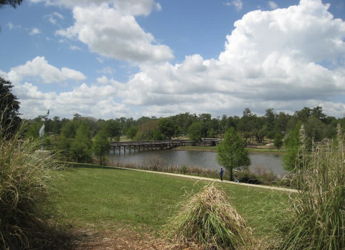 A serene park scene with a tranquil pond, lush greenery, a wooden bridge, and fluffy clouds, evoking peace and relaxation.