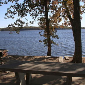 A serene lakeside scene with a picnic table under trees, autumn leaves, a grill, and a calm, inviting atmosphere.
