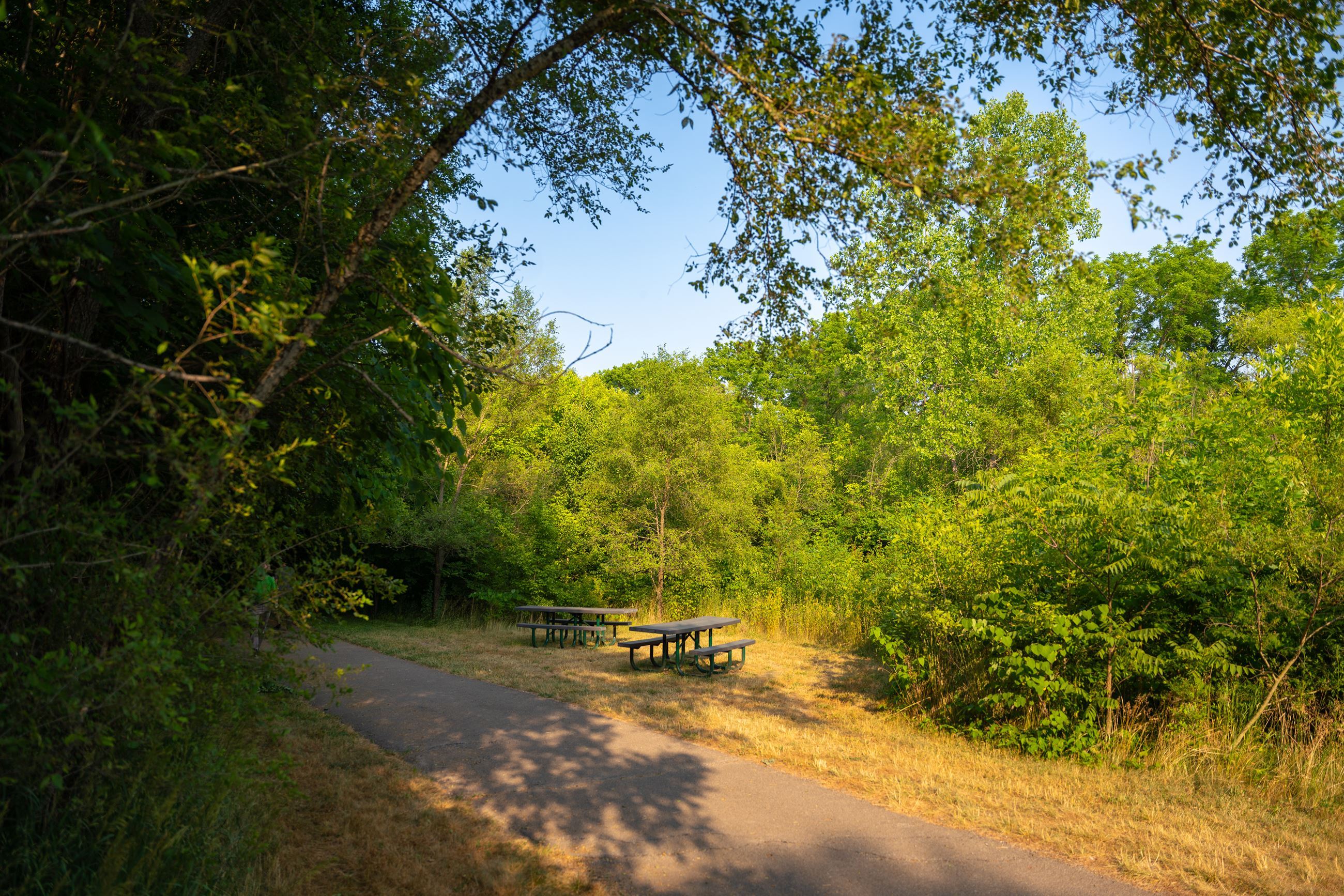 Serene nature path with lush greenery and picnic tables, evoking tranquility and inviting outdoor relaxation on a sunny day.