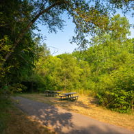 Serene nature path with lush greenery and picnic tables, evoking tranquility and inviting outdoor relaxation on a sunny day.