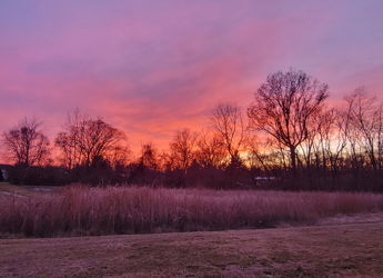 Serene sunset landscape with a colorful sky, silhouetted trees, and tall grasses, evoking tranquility and appreciation.