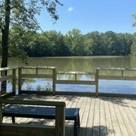 Serene waterfront scene with a wooden deck, calm water, lush greenery, and sunlight, evoking peace and connection to nature.