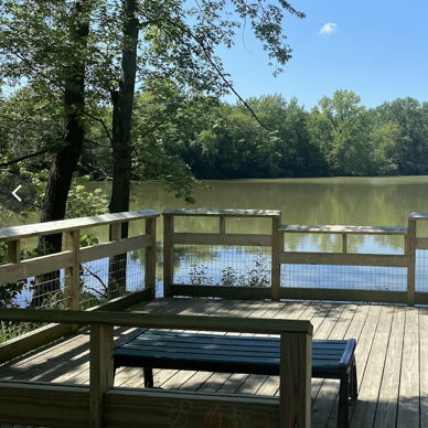 Serene waterfront scene with a wooden deck, calm water, lush greenery, and sunlight, evoking peace and connection to nature.