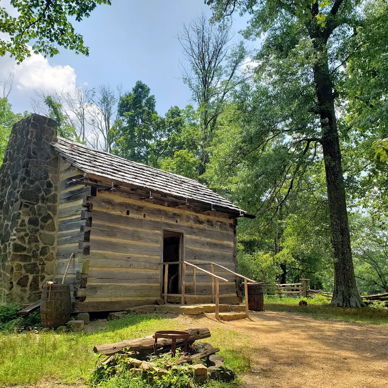 Rustic log cabin nestled in lush greenery and tall trees, evoking peace, nostalgia, and a connection to nature.