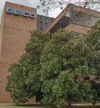 Brick building with "GEICO" logo, surrounded by green trees under an overcast sky, conveying stability and professionalism.