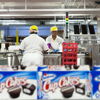 Workers in a food production facility assemble cupcakes in a clean, organized space, highlighting teamwork and productivity.
