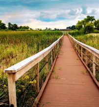 Wooden boardwalk through a lush field, surrounded by grasses, wildflowers, trees, and a cloudy sky, evoking tranquility.